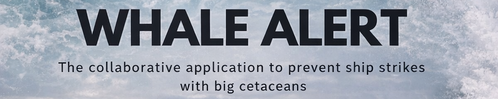 stratégie marketing application
